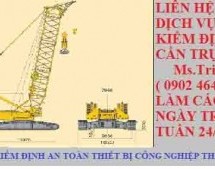 Kiểm định cần trục – KIỂM ĐỊNH CẦN TRỤC | Xe cẩu tự hành là gì?