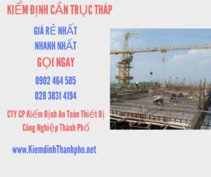 Hình ảnh kiểm định Cần trục tháp