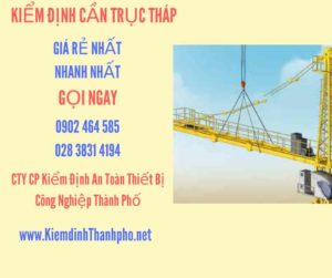 Hình ảnh kiểm định Cần trục tháp