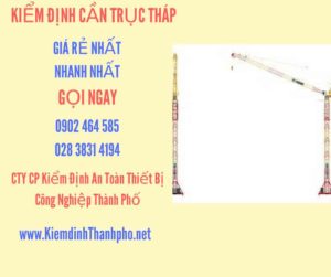 Hình ảnh kiểm định Cần trục tháp