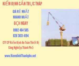 Hình ảnh kiểm định Cần trục tháp