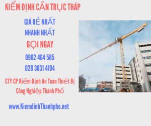 Hình ảnh kiểm định Cần trục tháp