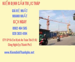 Hình ảnh kiểm định Cần trục tháp