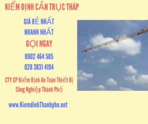 Hình ảnh kiểm định Cần trục tháp