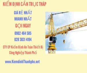 Hình ảnh kiểm định Cần trục tháp