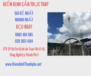 Hình ảnh kiểm định Cần trục tháp