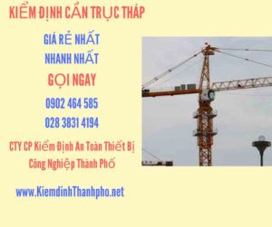 Hình ảnh kiểm định Cần trục tháp