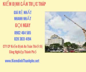 Hình ảnh kiểm định Cần trục tháp