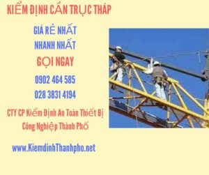 Hình ảnh kiểm định Cần trục tháp