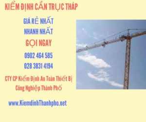 Hình ảnh kiểm định Cần trục tháp