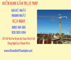 Hình ảnh kiểm định Cần trục tháp