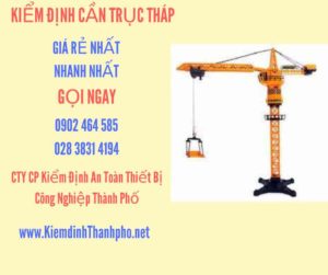 Hình ảnh kiểm định Cần trục tháp