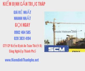 Hình ảnh kiểm định Cần trục tháp