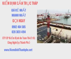 Hình ảnh kiểm định Cần trục tháp