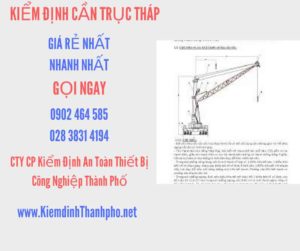 Hình ảnh kiểm định Cần trục tháp