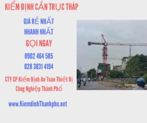 Hình ảnh kiểm định Cần trục tháp