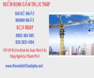 Hình ảnh kiểm định Cần trục tháp