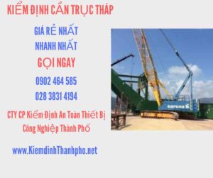 Hình ảnh kiểm định Cần trục tháp