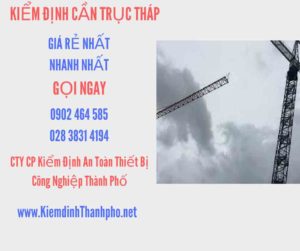 Hình ảnh kiểm định Cần trục tháp