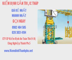 Hình ảnh kiểm định Cần trục tháp