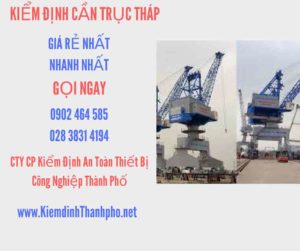 Hình ảnh kiểm định Cần trục tháp