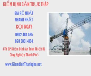 Hình ảnh kiểm định Cần trục tháp