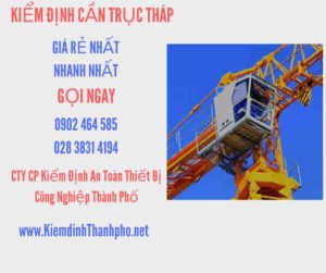 Hình ảnh kiểm định Cần trục tháp