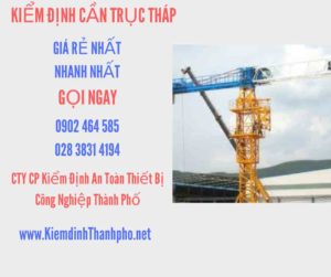 Hình ảnh kiểm định Cần trục tháp