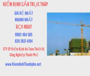 Hình ảnh kiểm định Cần trục tháp