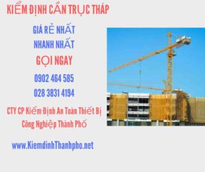 Hình ảnh kiểm định Cần trục tháp