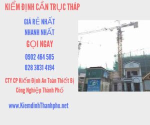 Hình ảnh kiểm định Cần trục tháp