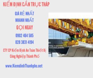 Hình ảnh kiểm định Cần trục tháp