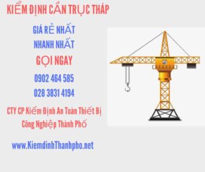 Hình ảnh kiểm định Cần trục tháp