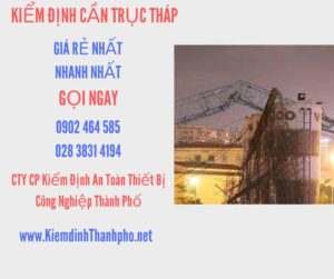 Hình ảnh kiểm định Cần trục tháp