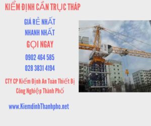 Hình ảnh kiểm định Cần trục tháp