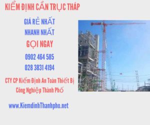 Hình ảnh kiểm định Cần trục tháp