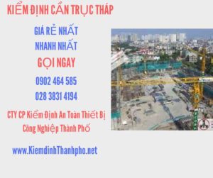 Hình ảnh kiểm định Cần trục tháp