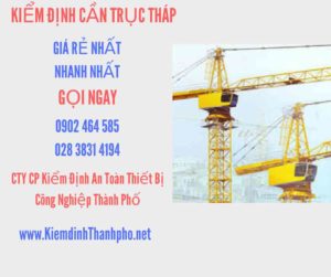 Hình ảnh kiểm định Cần trục tháp