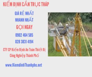 Hình ảnh kiểm định Cần trục tháp