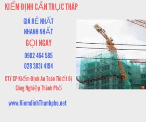 Hình ảnh kiểm định Cần trục tháp