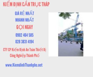 Hình ảnh kiểm định Cần trục tháp