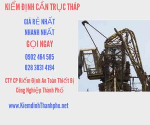 Hình ảnh kiểm định Cần trục tháp