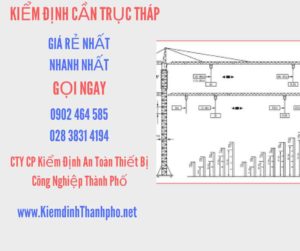 Hình ảnh kiểm định Cần trục tháp