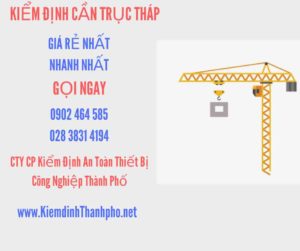 Hình ảnh kiểm định Cần trục tháp