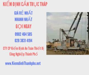 Hình ảnh kiểm định Cần trục tháp