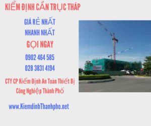 Hình ảnh kiểm định Cần trục tháp