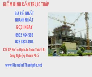 Hình ảnh kiểm định Cần trục tháp