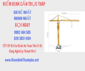 Hình ảnh kiểm định Cần trục tháp