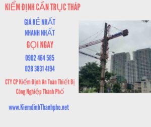 Hình ảnh kiểm định Cần trục tháp