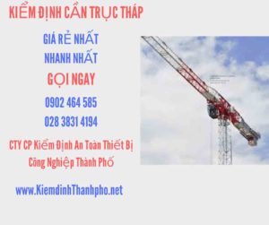 Hình ảnh kiểm định Cần trục tháp